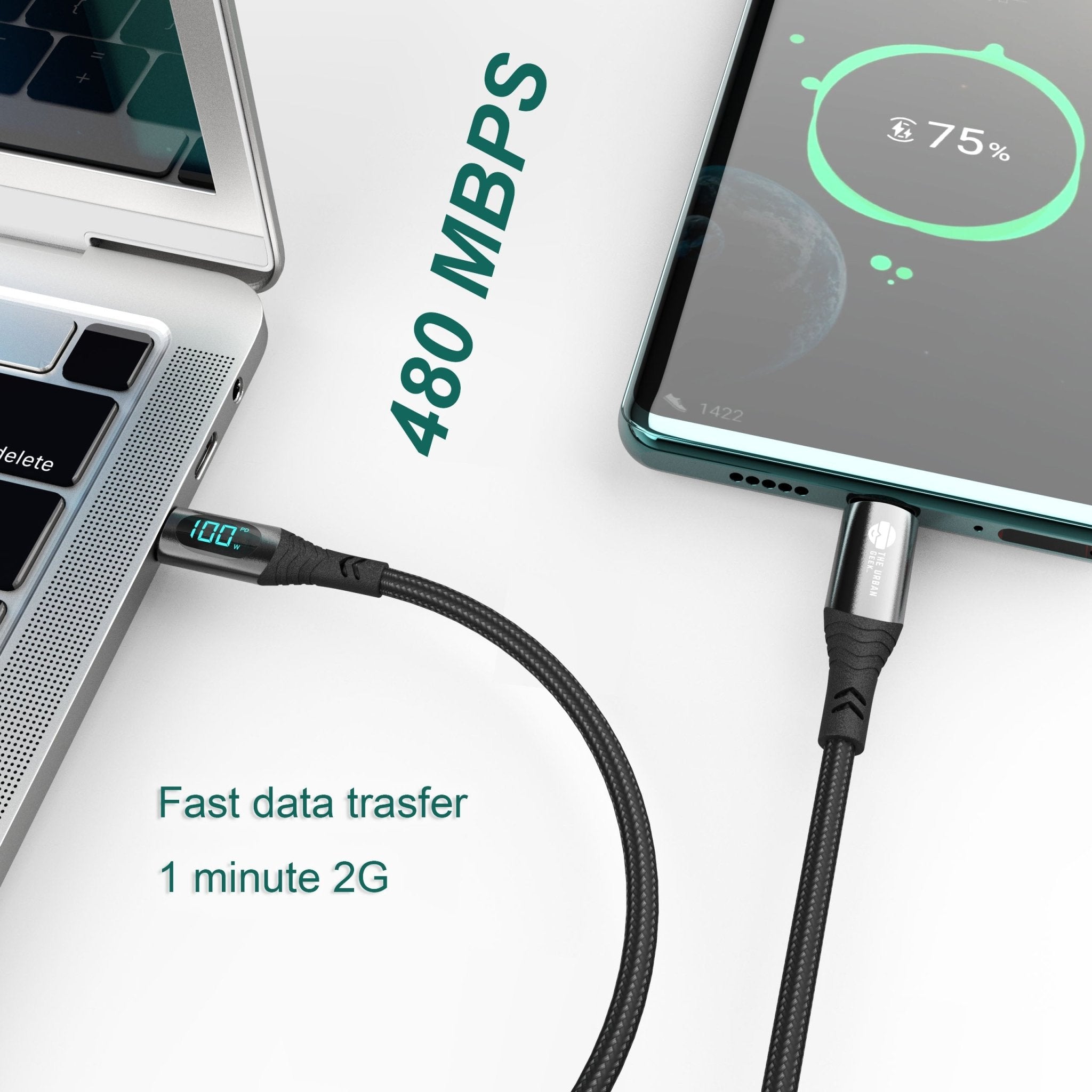 TheUrbanGeek Link Core USB-C Fast Charging and Data Cable with Power Display (100W) - TheUrbanGeek